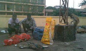 Image de l'article &agrave; publier