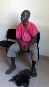 photomoribad&eacute;lamo